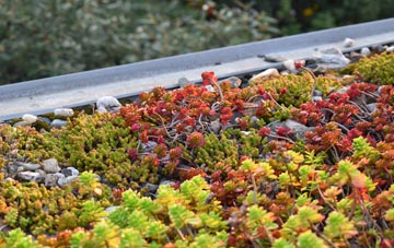 the cost of Packwood Gullet green roof installation