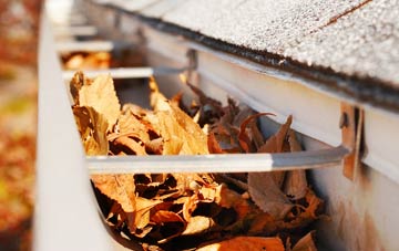 Packwood Gullet gutter cleaning companies
