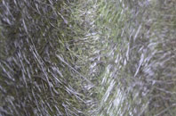 Packwood Gullet fibreglass roof work